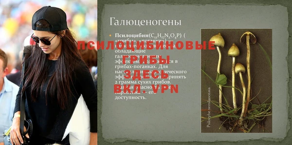 MDMA Premium VHQ Бугульма